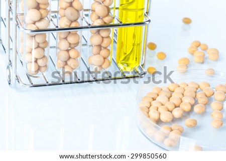 Soybean genetically modified, Plant Cell, laboratory