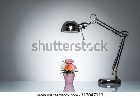 lighting up pink flower pot with desk lamp on round studio lighting