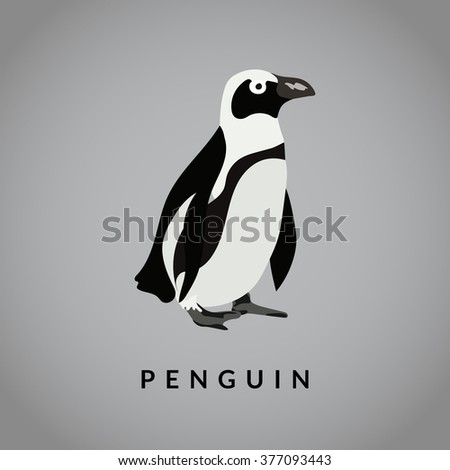 Penguin vector illustration. Realistic bird.  Black and white