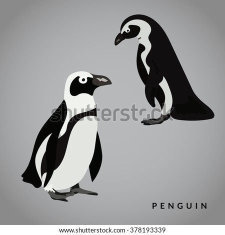 Penguin vector illustration. Realistic bird.  Black and white