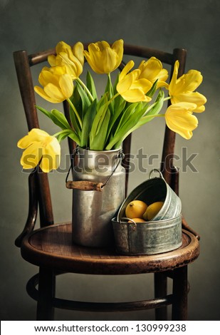 Beautiful bright yellow tulips in Still Life with old Milk Can an Lemons on antique wooden Chair