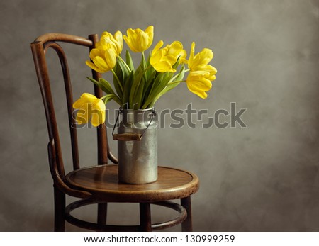 Beautiful bright yellow tulips in Still Life with old Milk Can on antique wooden Chair