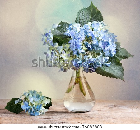 Still-Life with blue Hortensia Flowers in glass vase