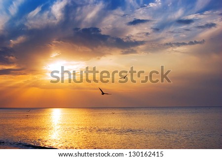 Similar – Image, Stock Photo Bird in sunrise over Joshua Tree Park, California 2022.