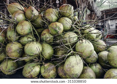 many coconuts,\
green coconuts,\
a big bunch of coconuts,\
photo in a dark style