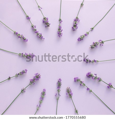 Similar – Image, Stock Photo Close-up of a violet Scabiosa flower with yellow stamens