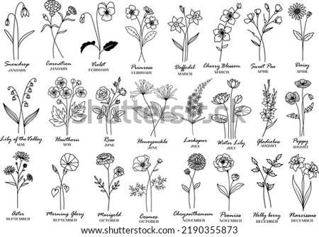 Birth Month Flower Vector Bundle Floral Clipart 24 Design