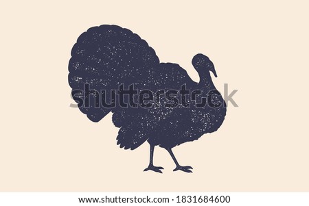 Turkey. Vintage retro print, black white turkey drawing, grunge old school style. Isolated black silhouette turkey on white background. Side view profile. Vector Illustration