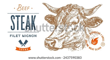 Cow, bull, beef head, meat tag label. Template Meat Tag Label. Vintage print, tag, label pig sketch ink pencil drawing. Butchery cow, bull, beef head meat shop, text, typography. Vector Illustration