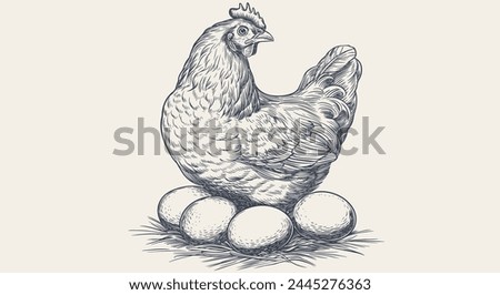 Chicken, hen with nest, eggs. Vintage retro print, chicken, hen eggs sketch ink pencil style drawing, engrave old school. Sketch artwork silhouette chicken, hen with nest, eggs. Vector Illustration
