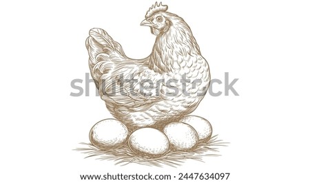 Chicken, hen with nest, eggs. Vintage retro print, chicken, hen eggs sketch ink pencil style drawing, engrave old school. Sketch artwork silhouette chicken, hen with nest, eggs. Vector Illustration