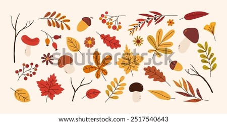 Fall background. Various minimal hand drawn leaves, berries, branches and mushrooms in flat style. Elements for your design.