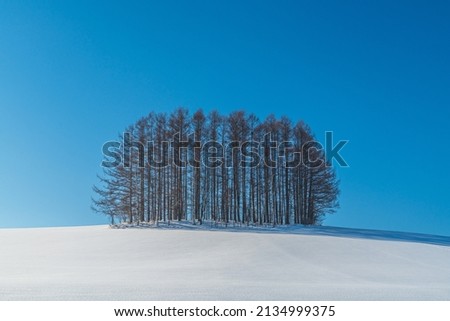 Similar – Image, Stock Photo Mild Black Forest summer