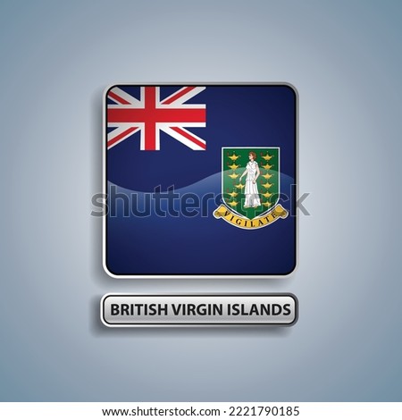 British Virgin Islands flag square button vector illustration