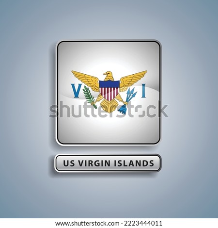 US Virgin Islands flag square button vector illustration
