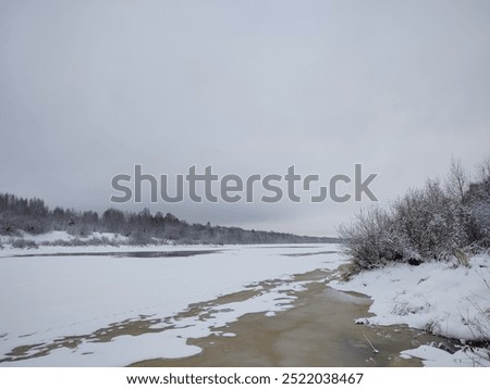 Similar – Image, Stock Photo Frosted bank of river with bare trees