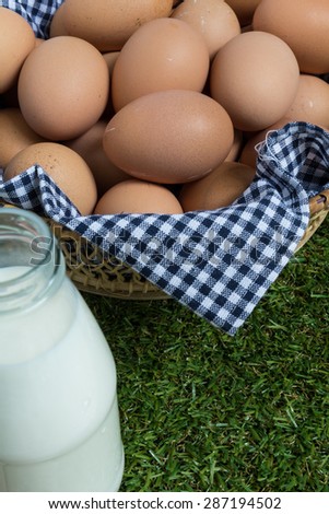 Chicken Eggs / Chicken Eggs Background / Eggs with Milk on Grass