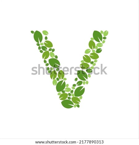 Initial Letter V Leaf Logo Design Template Icon vector