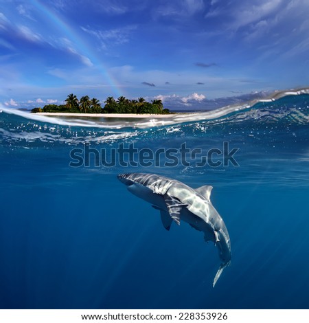 Tropical maldivian island in daylight with rainbow and Great White Shark underwater