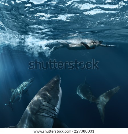 Great White Sharks hunting brave female swimmer from deep