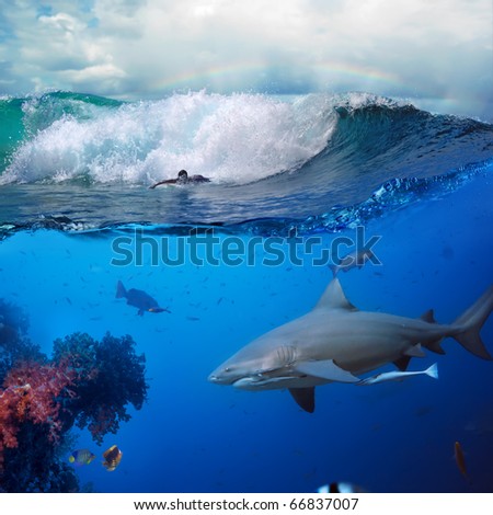 image about the ocean and surfer on the breaking wave cloudy sky over him and big dangerous angry hungry shark hunting