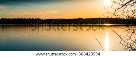 Sun Setting over a small lake with tree branches in the foreground angling towards the sunlight with lens flare.