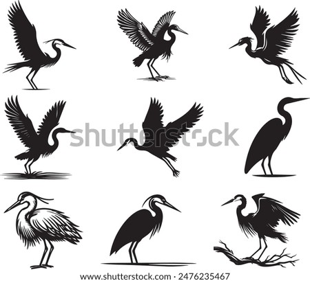 set of heron silhouettes vector illustration