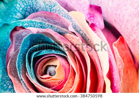 Similar – Image, Stock Photo Lovely purple flowers close up