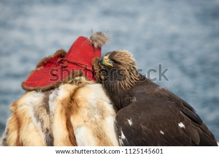 Shutterstock Puzzlepix