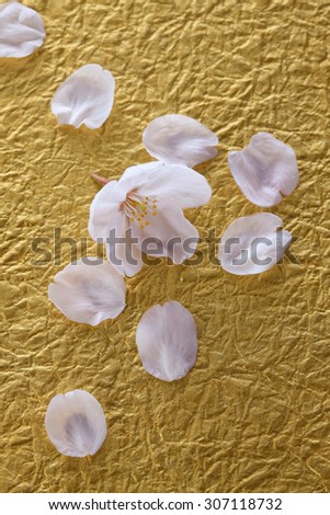 Gold leaf, sakura