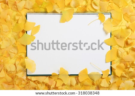 Ginkgo, fallen leaves, frame