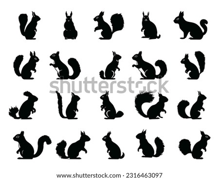 squirrel silhouettes set illustration vector