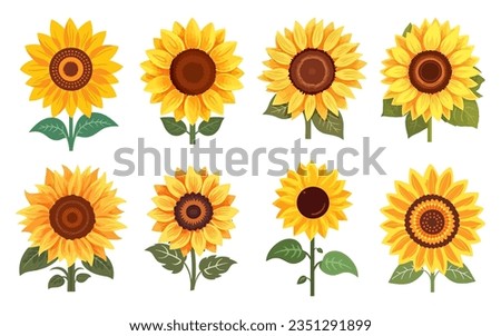 Sunflower Hand Drawn Illustration set, Decorative Element