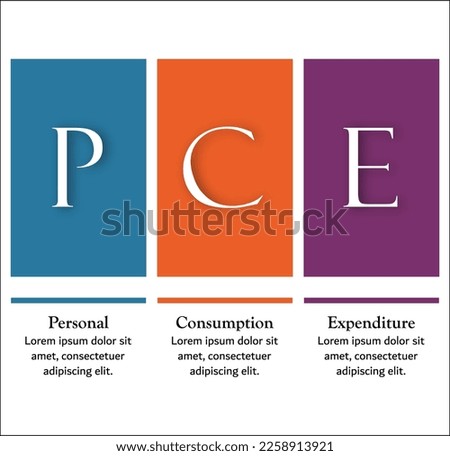 PCE - Personal Consumption Expenditure Acronym. Infographic template with icons and description placeholder