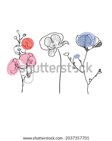 set of flowers, graphic flowers in one line on white onet. simple botanical illustration in boho style. trendy flowers in doodle style