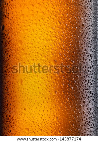 perfect wet beer bottle on white background