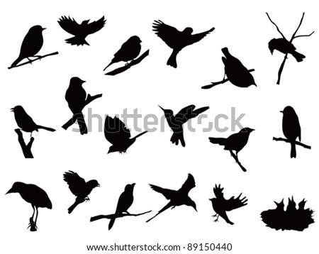 bird silhouettes collection