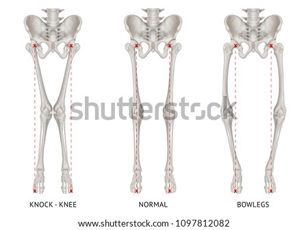 Shutterstock Puzzlepix