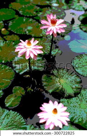 Water lilies and lily pads.