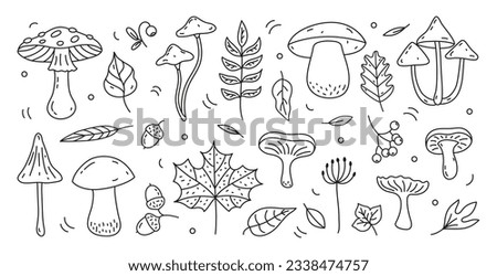 Similar – Image, Stock Photo Autumn leaves in hand from child