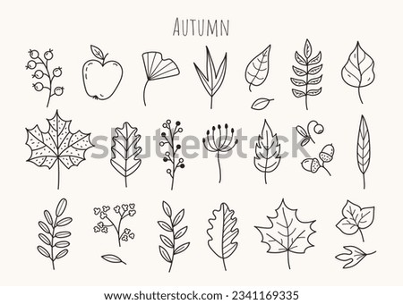 Similar – Image, Stock Photo Autumn leaves in hand from child