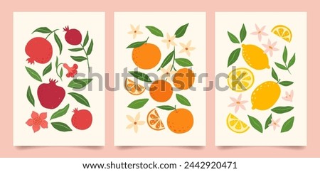 Collection of abstract fruit contemporary art print. Modern poster with hand drawn oranges, lemons and pomegranates. Trendy design for wallpaper, wall decor, postcard, cover, packaging.