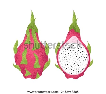 Summer tropical red dragon fruit, pitahaya. Whole fruit and half. Vector flat cartoon illustration.