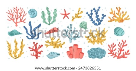 Set of coral and seaweed. Hand drawn aquarium plants, underwater ocean flora, seashell, algae, starfish. Vector marine plants and animals of the seabed. Flat cartoon illustration.