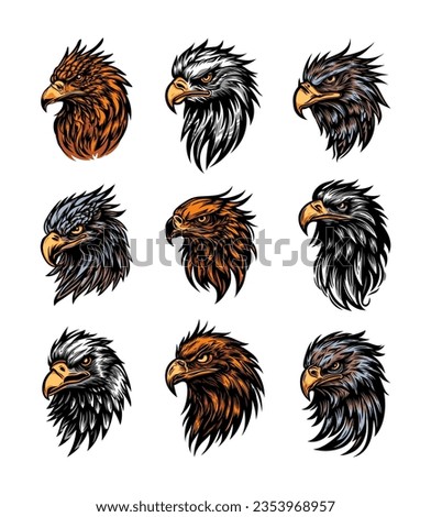 Eagle falcon hawk tattoo character. Bird head predator. Vector drawing. Collection of design elements.