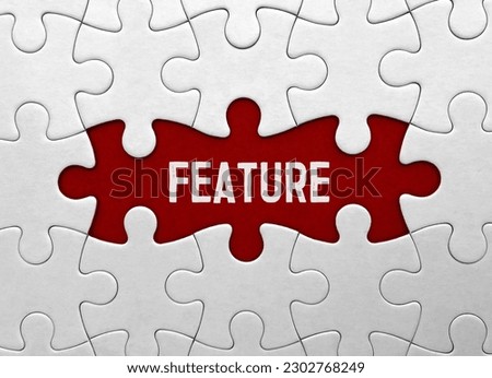 Word FEATURE on red puzzle background Stock foto © 