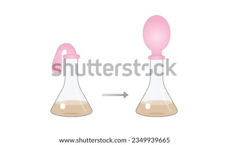 Yeast Respiration Experiment. Yeast feeds on the sugar, producing carbon dioxide, gas slowly fills the balloon. Vector illustration.