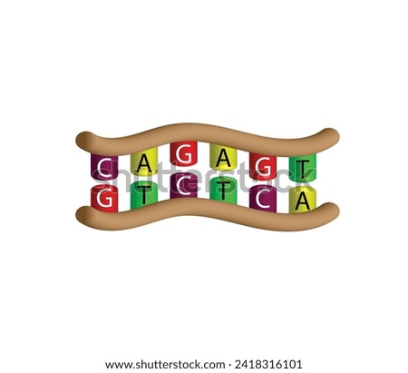 DNA structure. Nucleotides, adenine (A), cytosine (C), guanine (G) and thymine (T). Isolated on white background. Genetic code. Vector isolated on white background. Genetic code. Vector illustration.