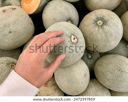 Similar – Foto Bild Melone in einer grünen, wiederverwendbaren Tasche. Umweltfreundliche Tasche mit Melone