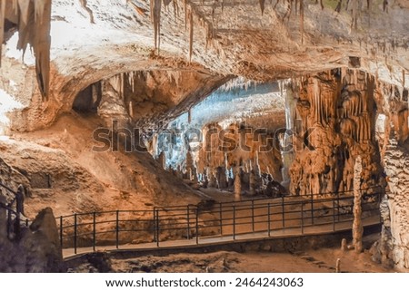 Similar – Image, Stock Photo Amazing view of railroad on dark forest